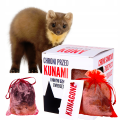 Nowy projekt (20).png